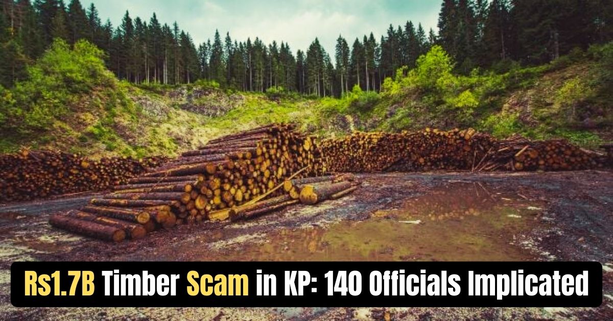 Timber trees in the jungle.