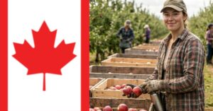 Fruit picking girl in farm